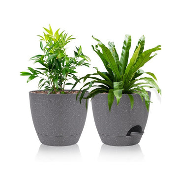 Self Watering Indoor Planters